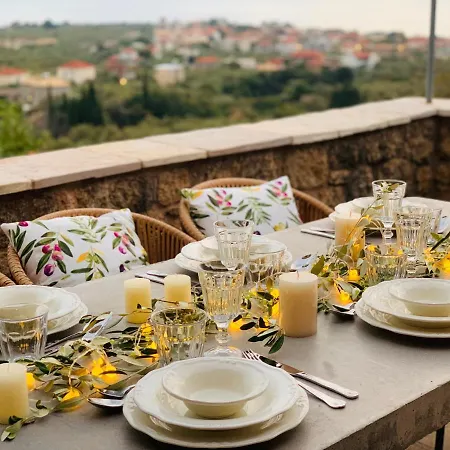 Positivespace Olive Tree *