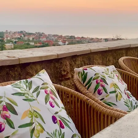 Villa Positivespace Olive Tree