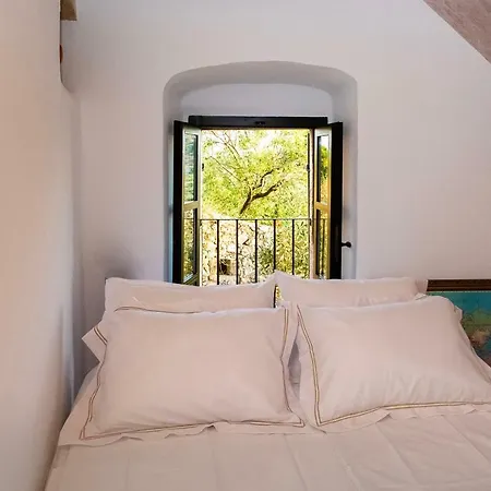 Positivespace Olive Tree 别墅 Lévktron