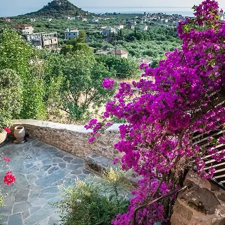 Positivespace Olive Tree 别墅 *