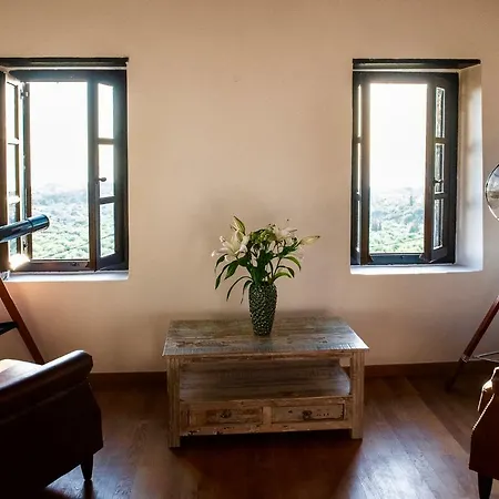 Positivespace Olive Tree *