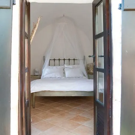 Positivespace Olive Tree * Léfktro