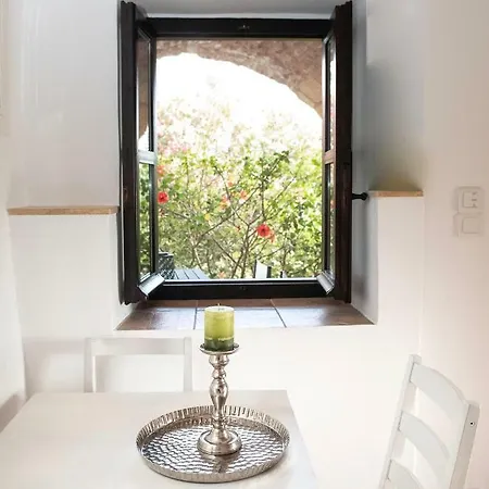 Positivespace Olive Tree *