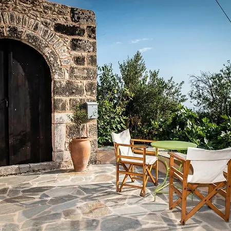 Positivespace Olive Tree * Lévktron