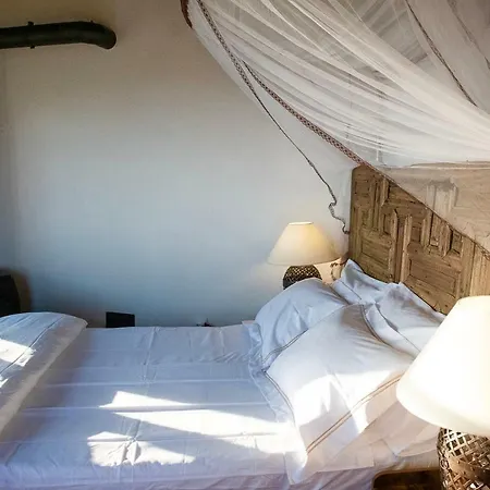 Positivespace Olive Tree *