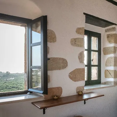 Positivespace Olive Tree