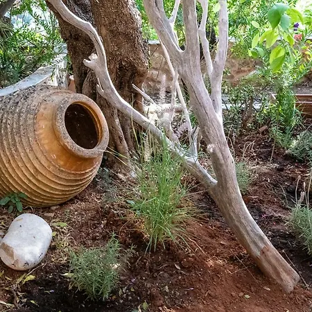 Positivespace Olive Tree * Léfktro