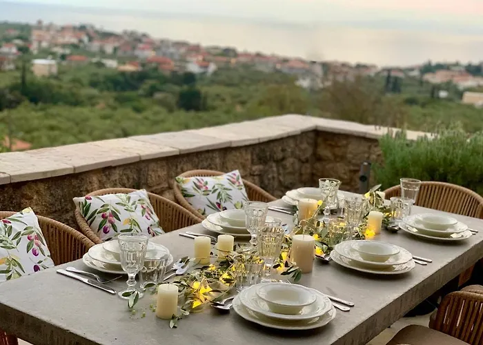 Positivespace Olive Tree Willa *