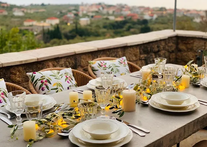 Positivespace Olive Tree *