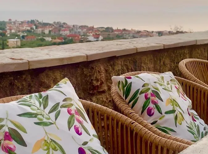 Willa Positivespace Olive Tree