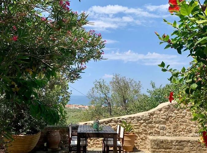 Positivespace Olive Tree Willa