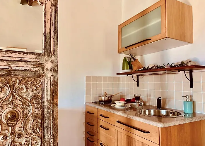 Willa Positivespace Olive Tree Lévktron