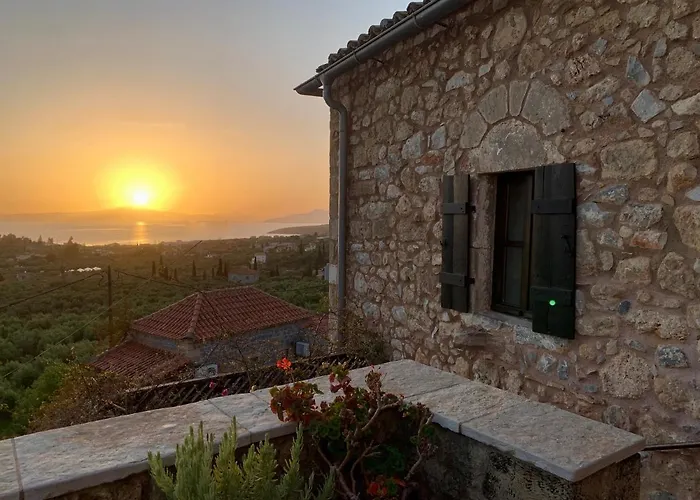 Willa Positivespace Olive Tree *