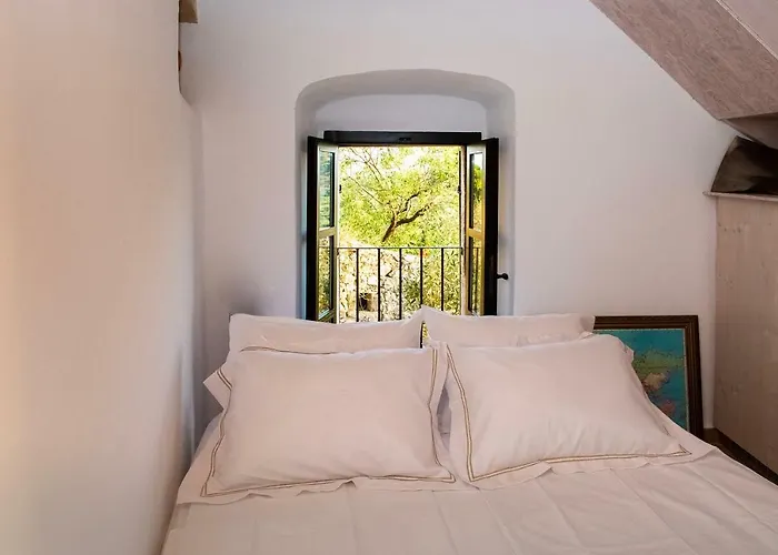 Positivespace Olive Tree Willa Lévktron