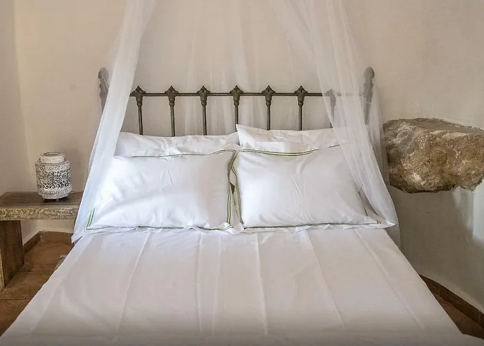 Positivespace Olive Tree Willa *