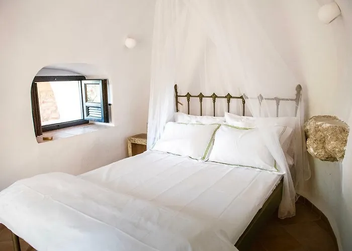 Positivespace Olive Tree Willa