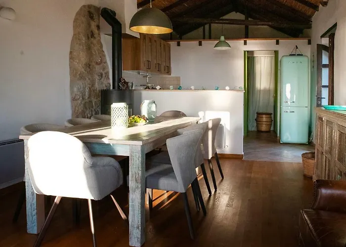 Willa Positivespace Olive Tree