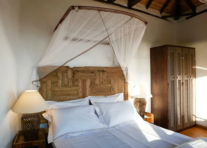 Positivespace Olive Tree Willa *