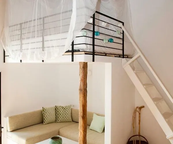 Positivespace Olive Tree Willa *