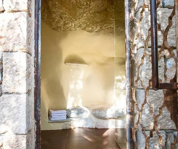 Positivespace Olive Tree Willa *