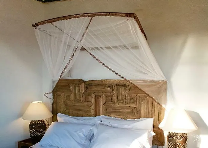 Willa Positivespace Olive Tree