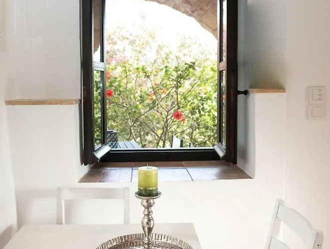 Positivespace Olive Tree *