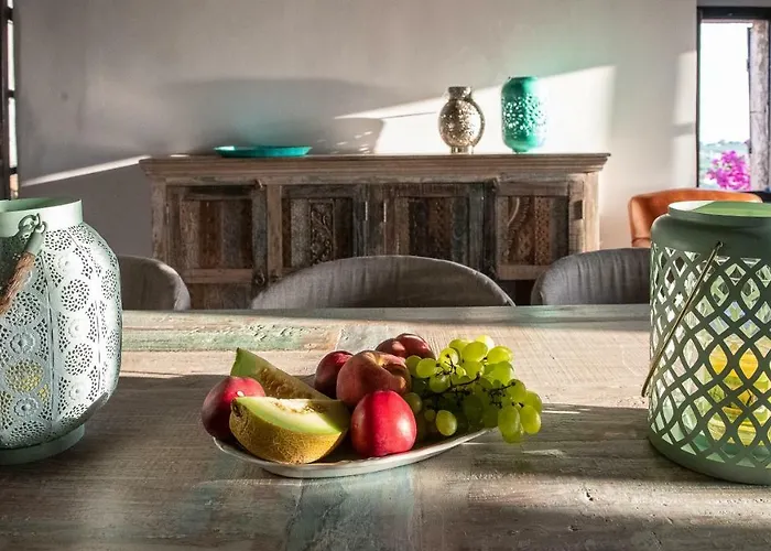 Positivespace Olive Tree Willa *