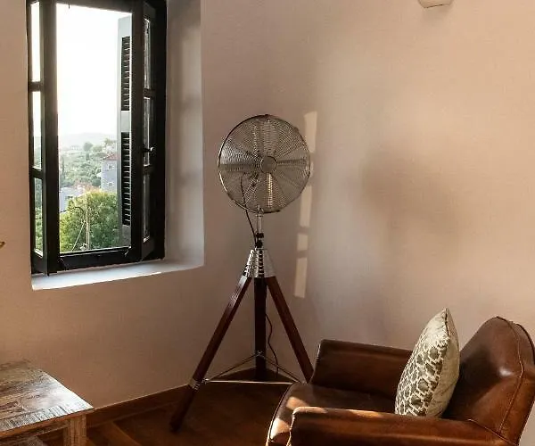 Positivespace Olive Tree Willa Lévktron