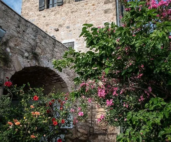 Positivespace Olive Tree * Lévktron