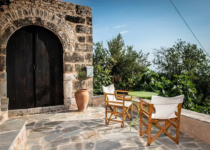 Positivespace Olive Tree * Lévktron