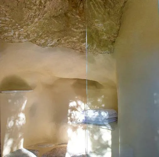 Positivespace Olive Tree Willa