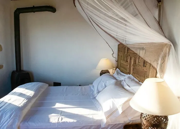 Positivespace Olive Tree *