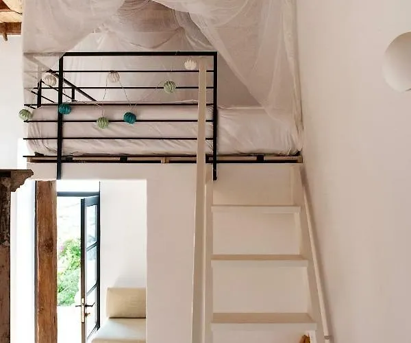 Positivespace Olive Tree Willa Lévktron