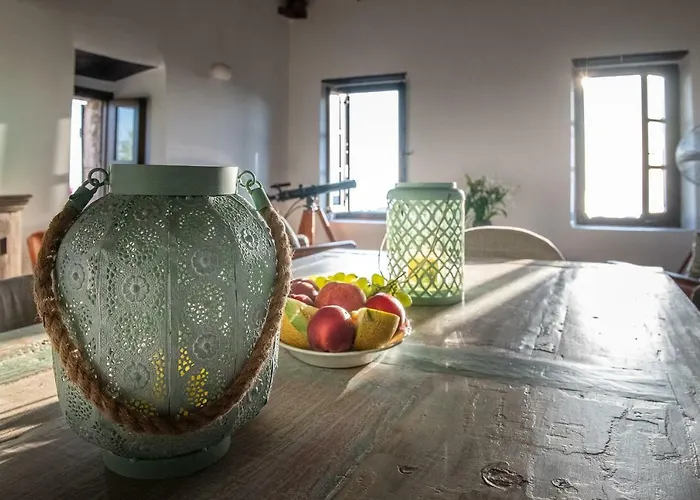 Positivespace Olive Tree Lévktron