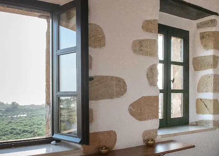 Positivespace Olive Tree