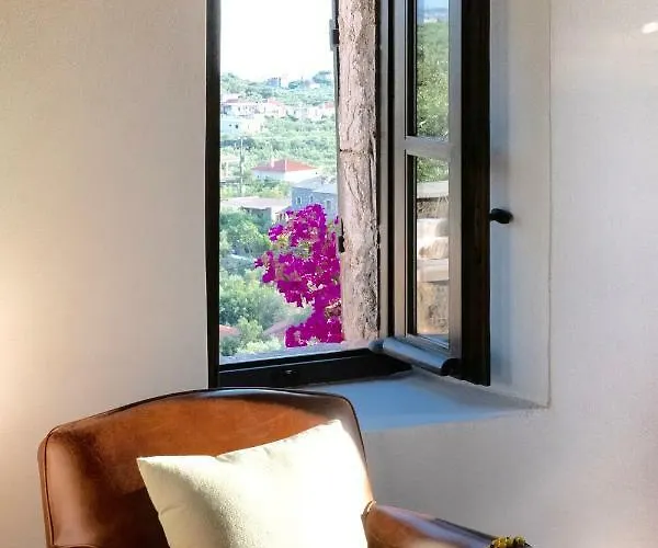 Positivespace Olive Tree Willa