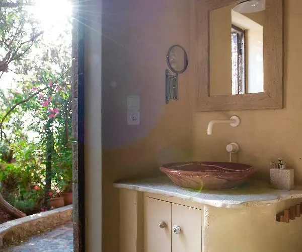 Positivespace Olive Tree Willa *