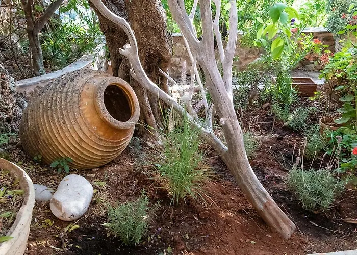 Positivespace Olive Tree * Lévktron