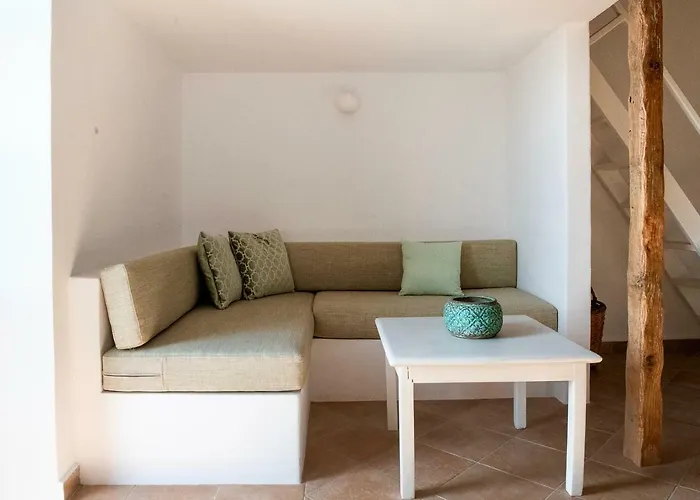 Willa Positivespace Olive Tree *