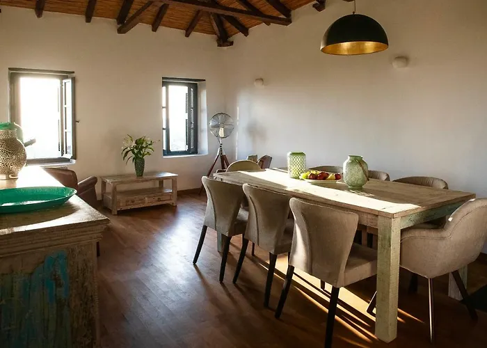 Positivespace Olive Tree Willa Lévktron