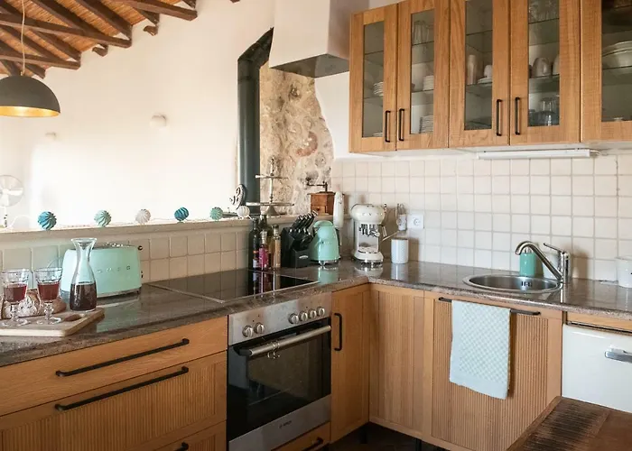 Positivespace Olive Tree *